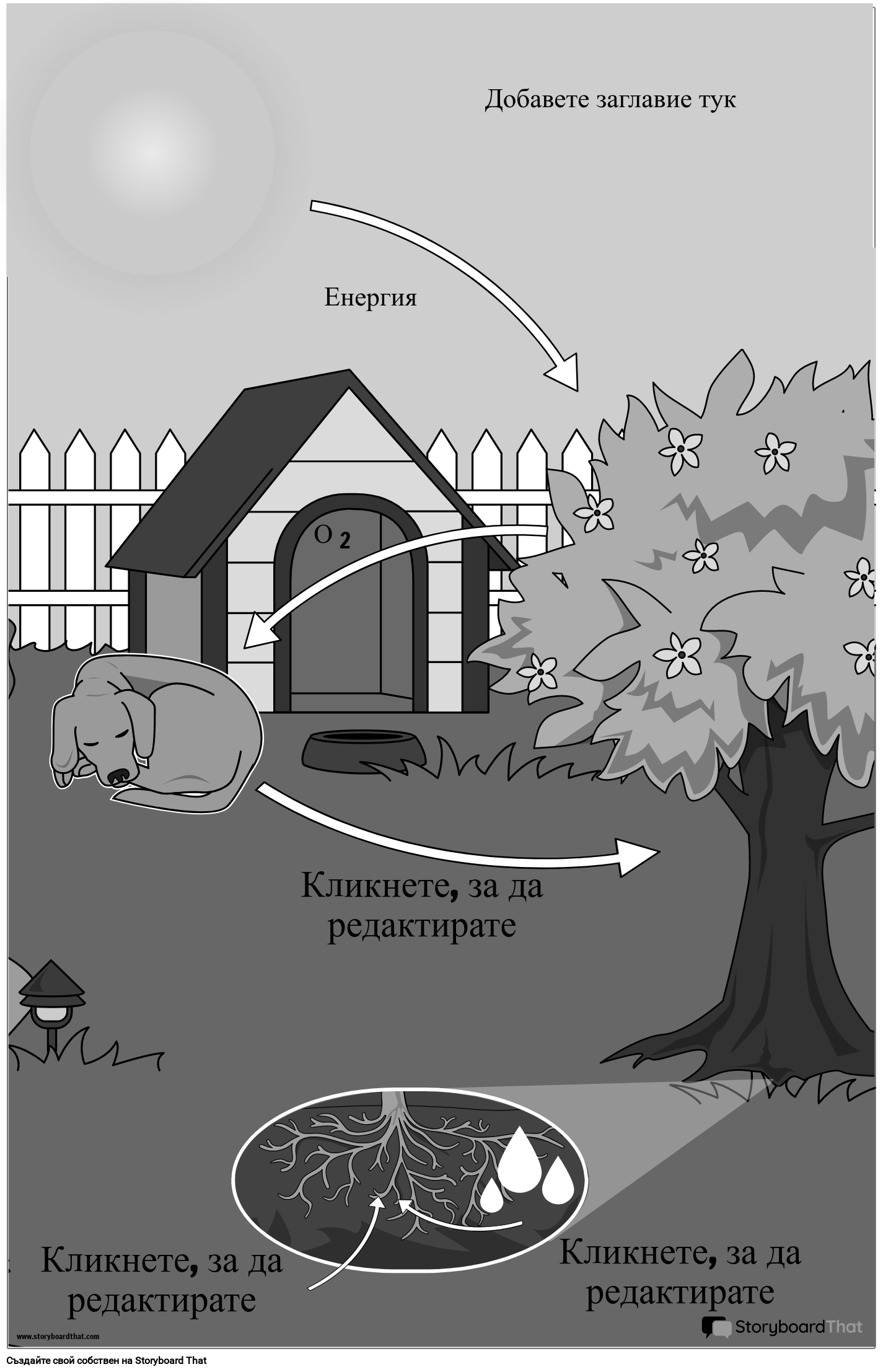 Плакат за Фотосинтеза за Класна Стая по Природни Науки