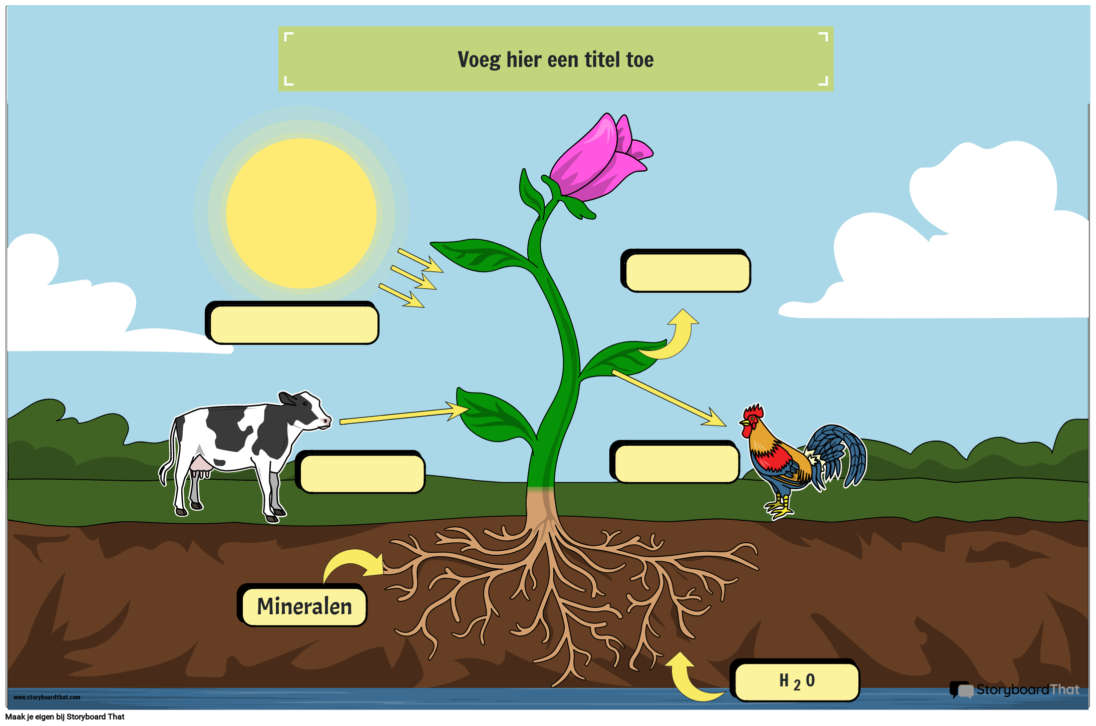 Fotosynthese Educatieve poster